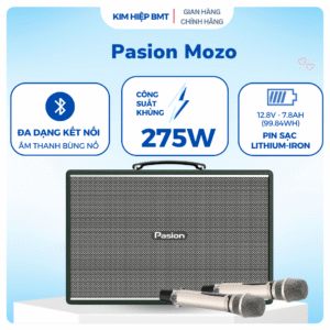 Loa Paramax PASION Mozo