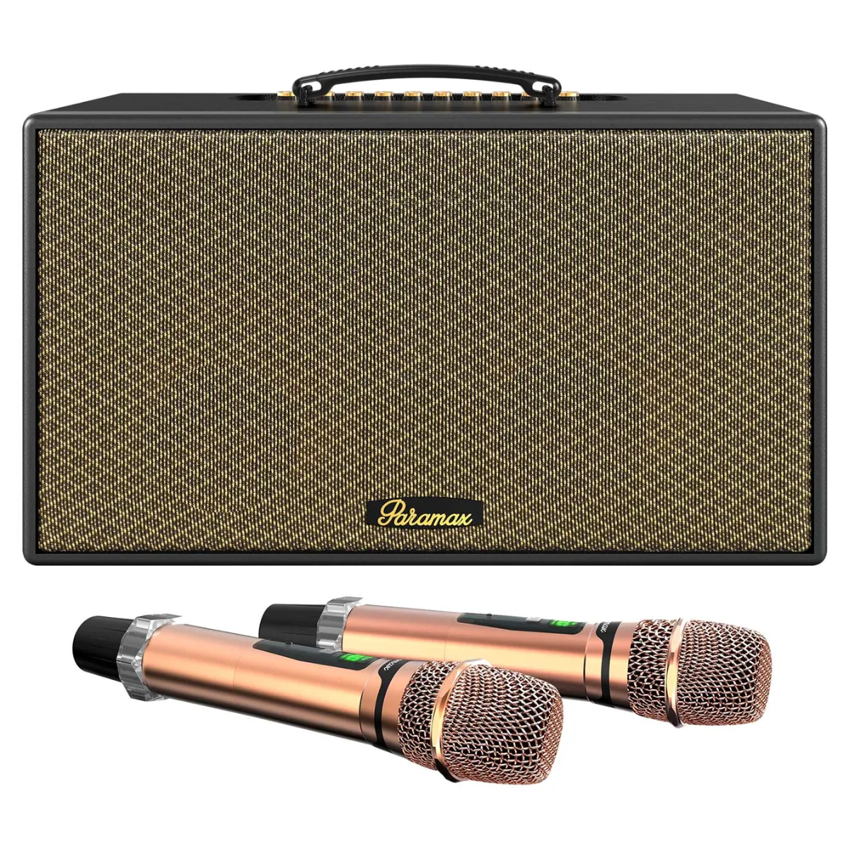 loa-xach-tay-paramax-aura-1