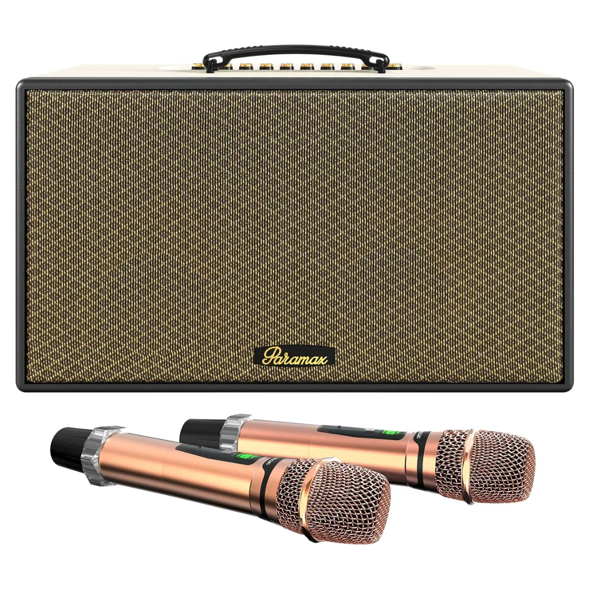 loa-xach-tay-paramax-aura-11